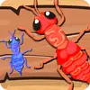 Ants
